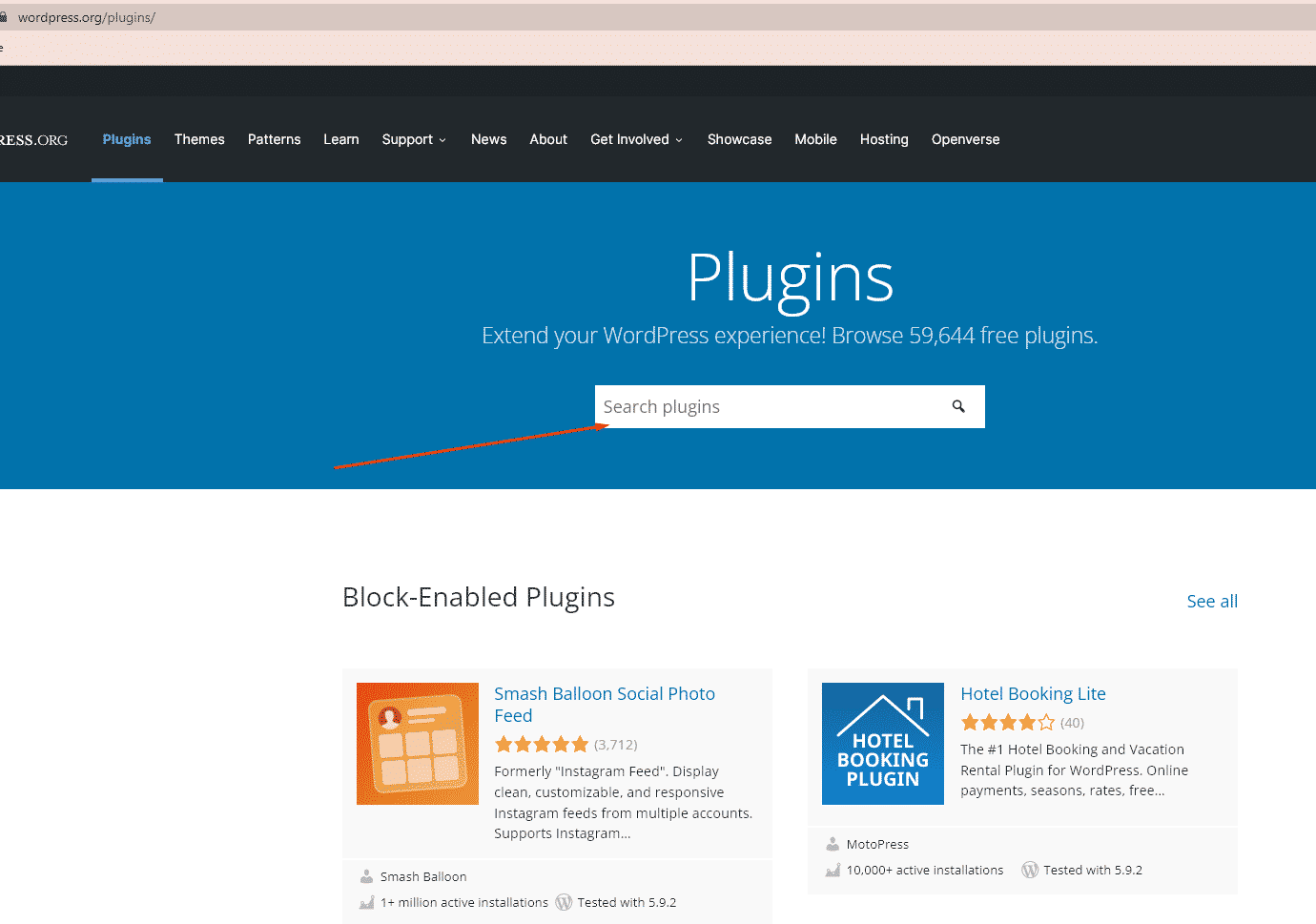 How to choose and install plugins for WordPress beginner