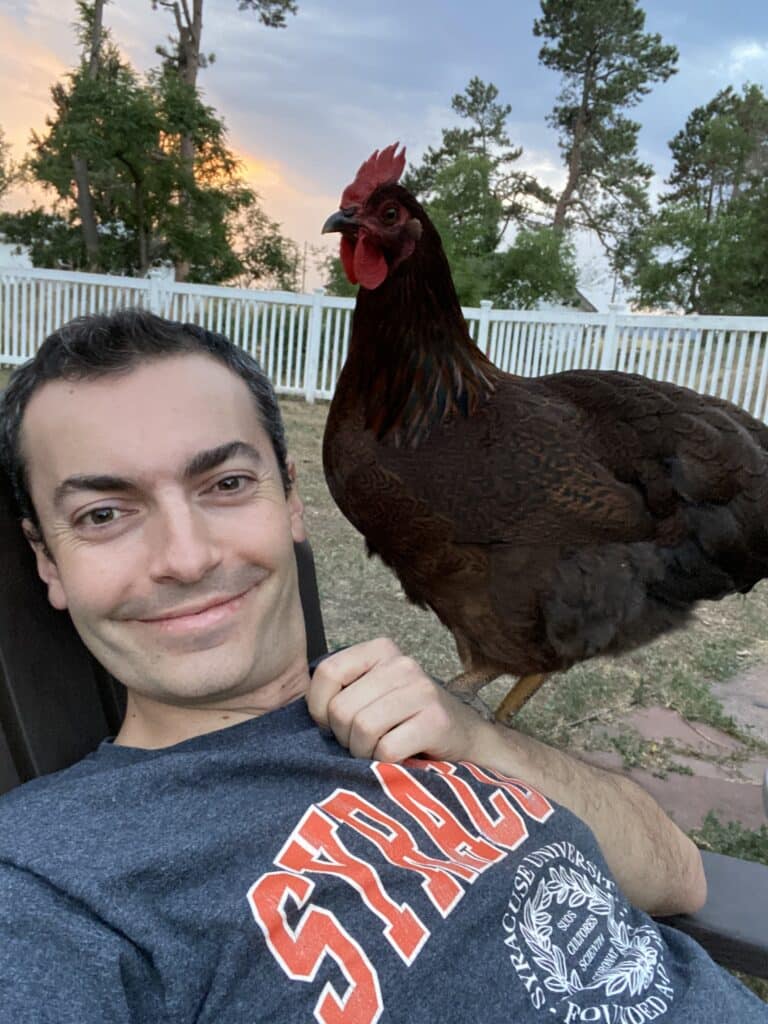 A person takes a selfie with a chicken perched beside them on an outdoor chair, set against a backdrop of trees and a sunset.