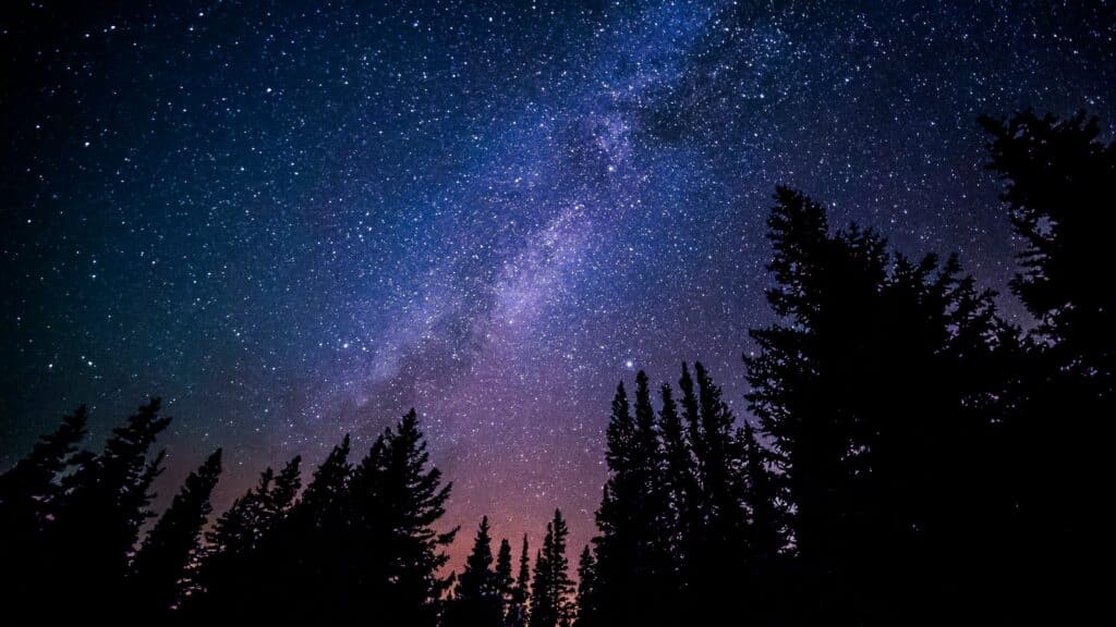 Starry night sky over silhouetted pine trees, showcasing the Milky Way. A tranquil, captivating view of the universe's vastness.
